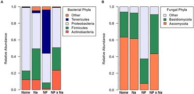 Environmental Nutrients Alter Bacterial and Fungal Gut Microbiomes in the Common Meadow Katydid, Orchelimum vulgare